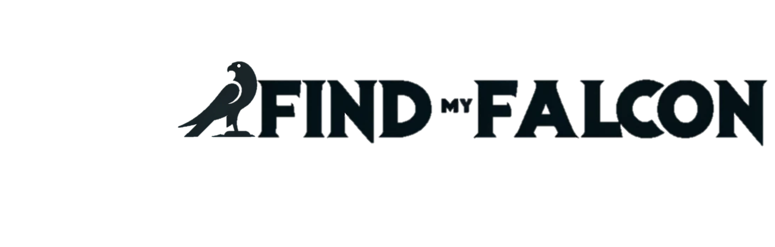 Find My Falcon